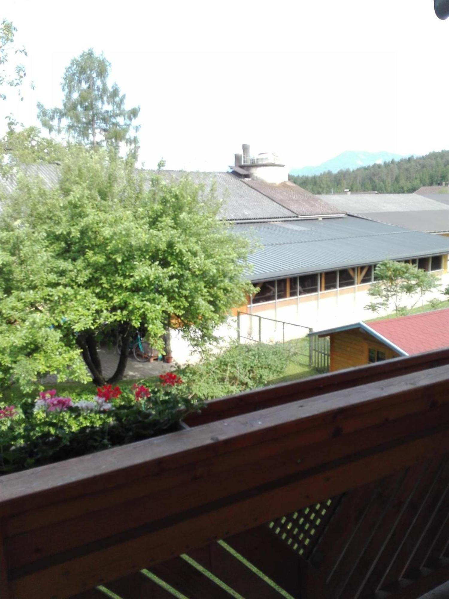 Bauernhof-Pension Puschnikhof Unternarrach Eksteriør billede